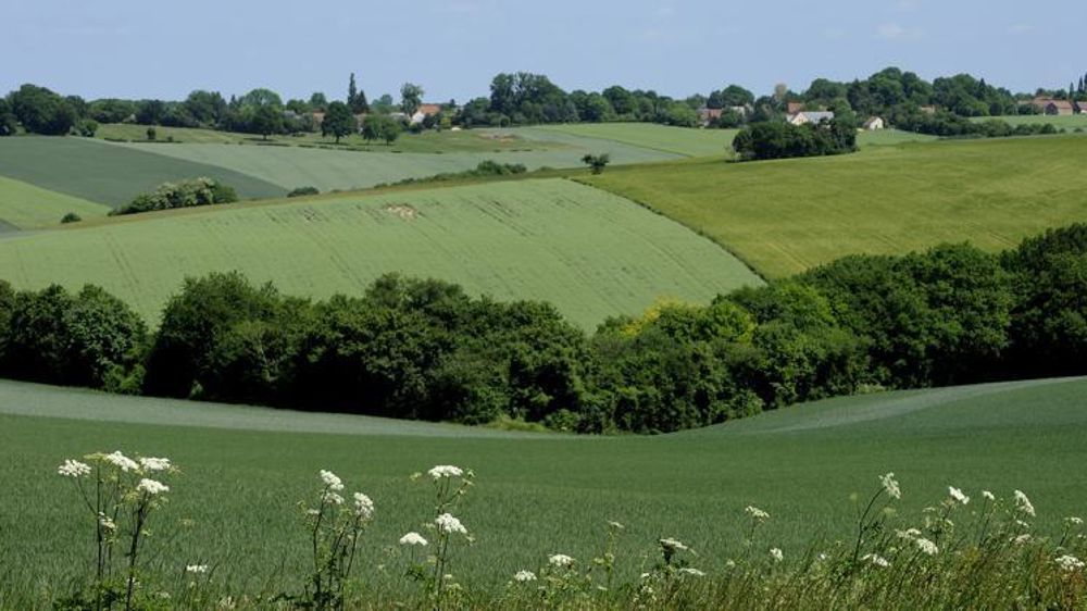 © Philippe Montigny